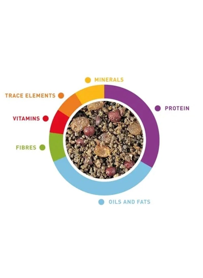 Padovan Granpatee Fruits Bird Food – 1kg - Image 2